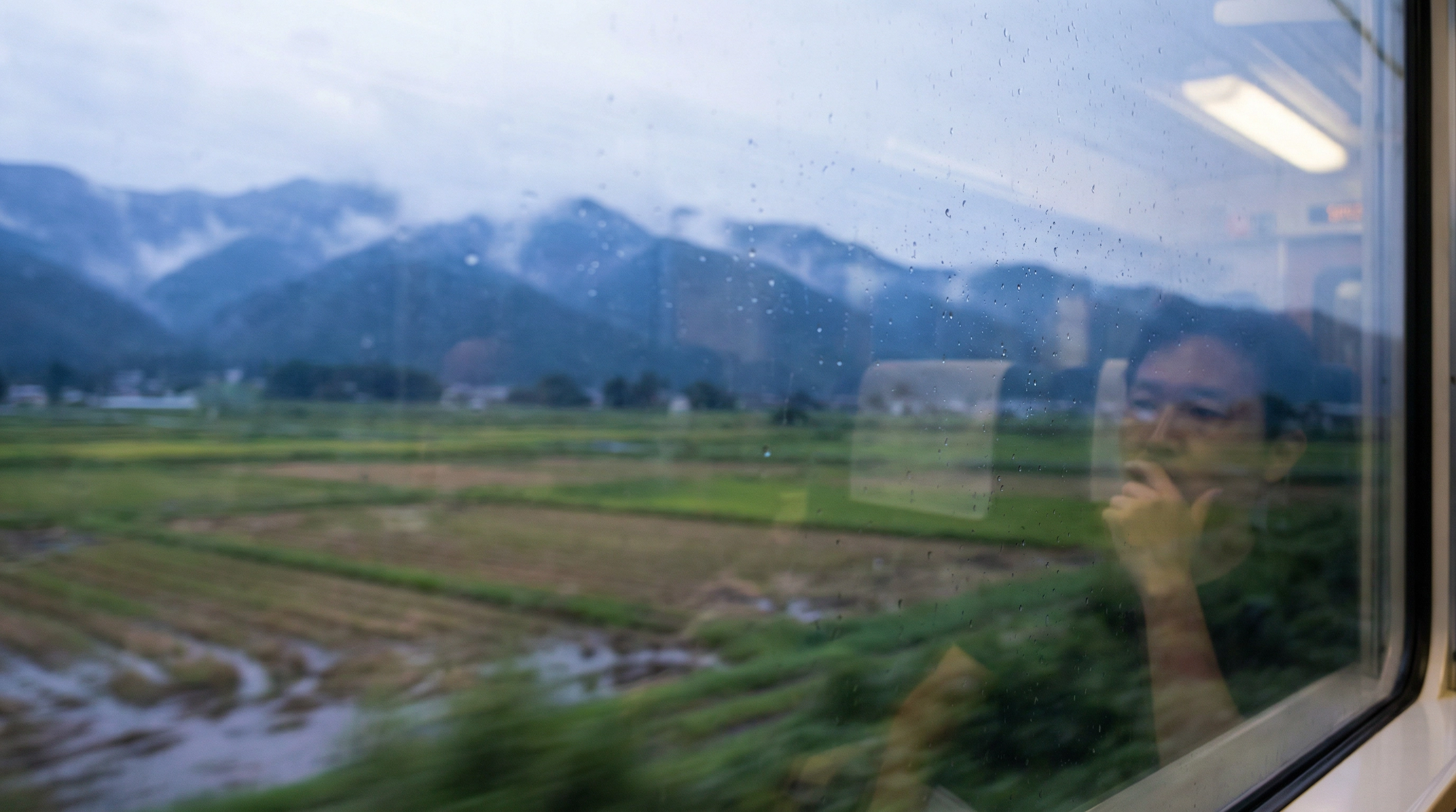 View from a train window of rural Japan